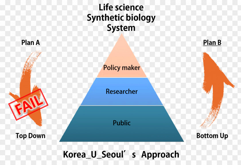 Observe Order And Establish Social Morality Triangle Brand Diagram PNG