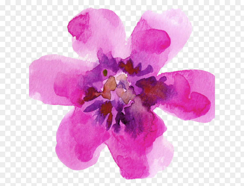 Painting Watercolour Flowers Watercolor Paper Watercolor: PNG