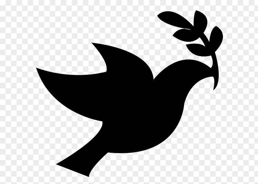 Peace Bird Columbidae Symbols Doves As Clip Art PNG