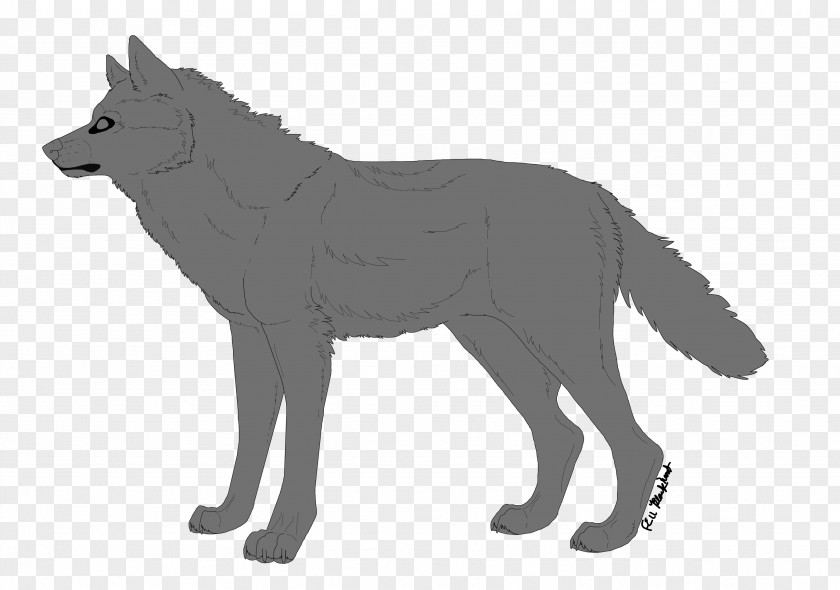 Wolf Line Art Dog Red Fox Drawing PNG
