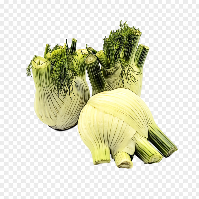 Fennel Leaf Vegetable Herb PNG