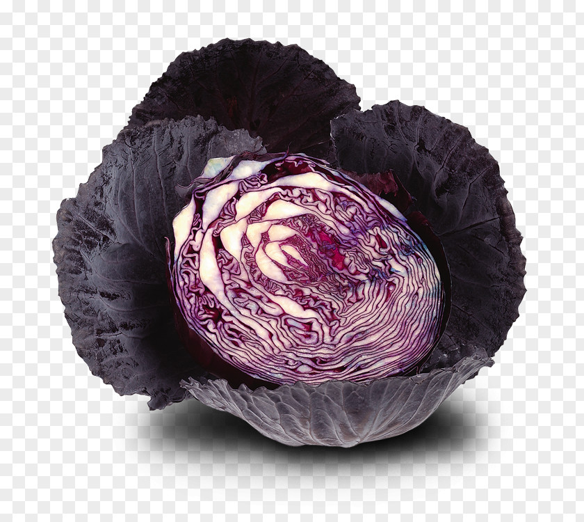Juice Red Cabbage Vegetable Stamppot Capitata Group PNG