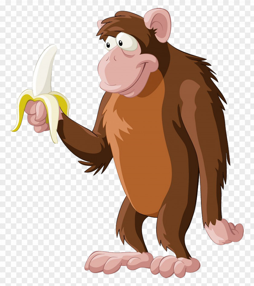 Little Monkey Chimpanzee Primate Banana PNG