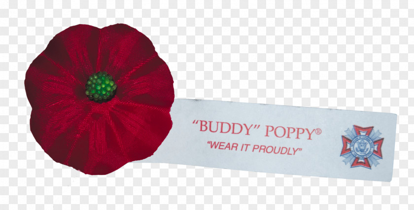 National Day Scatters Flowers Poppy Veterans Of Foreign Wars Organization Flower PNG