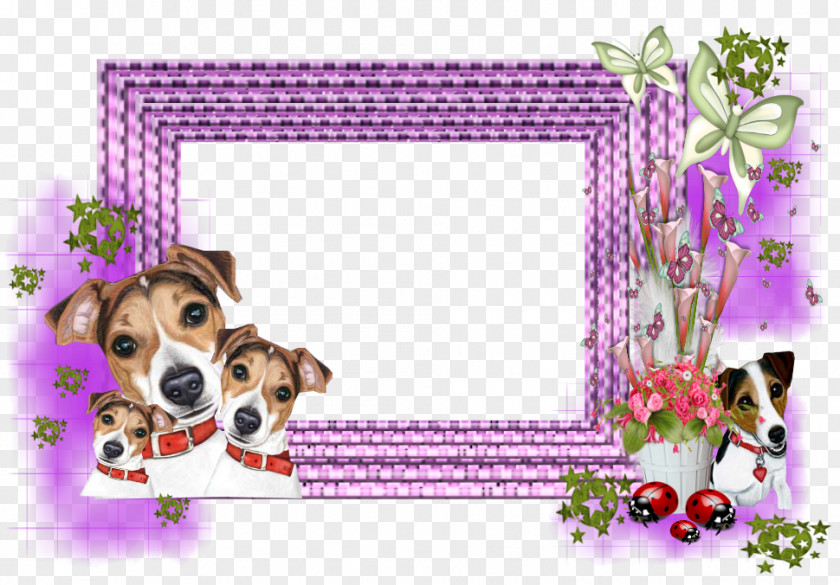 Puppy Dog Breed Picture Frames Beagle PNG