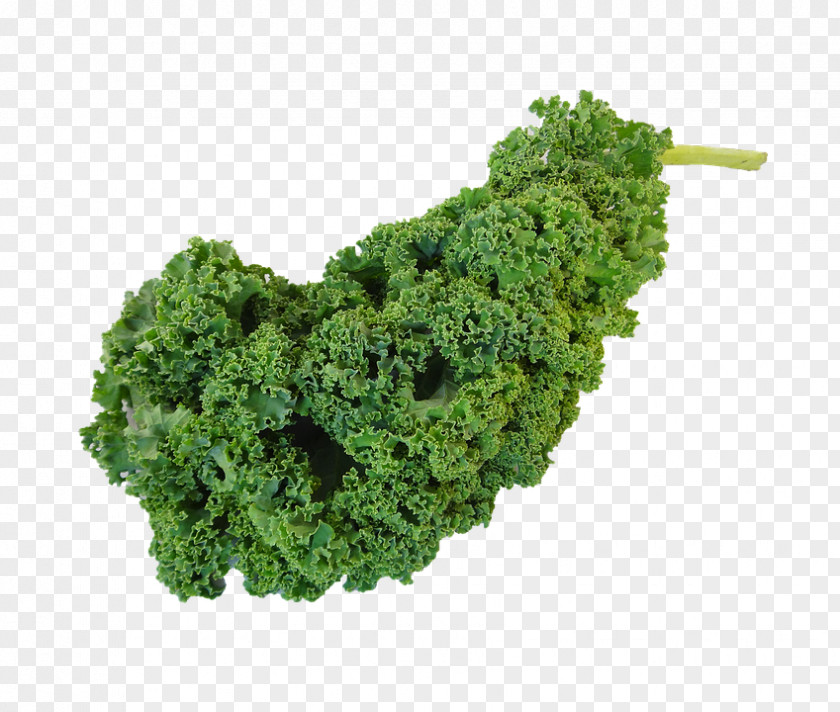 Vegetable Vegetarian Cuisine Curly Kale Leaf PNG