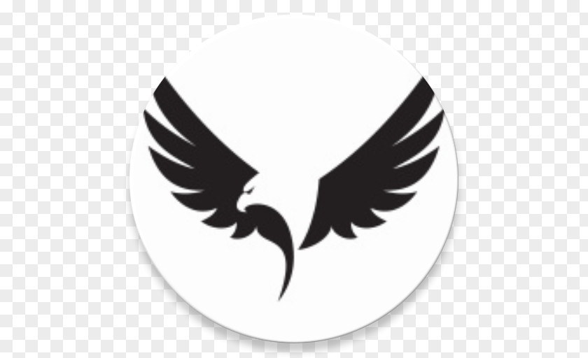 Bird Eagle Logo Clip Art PNG
