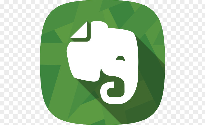 Evernote Vector Drawing Download File Synchronization PNG