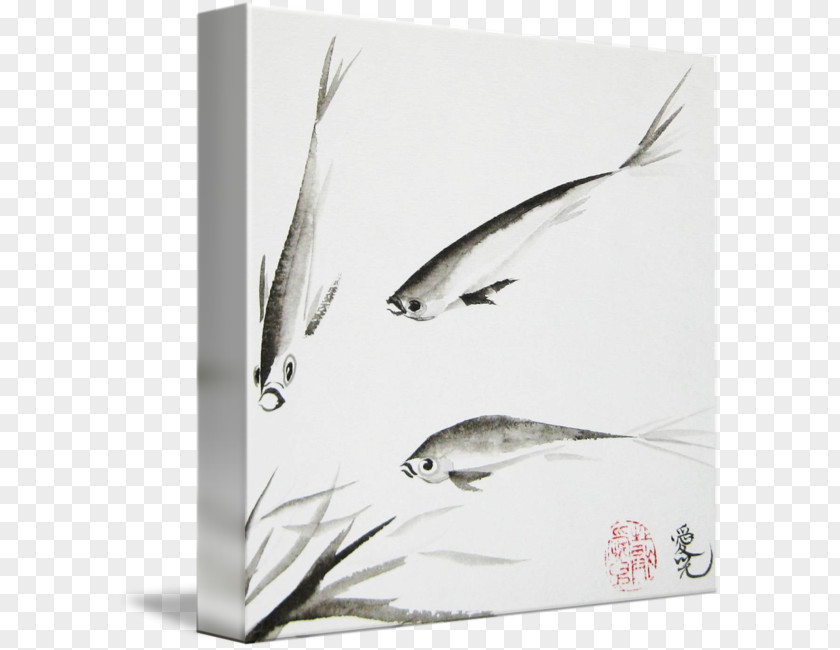 Feather Bird Beak Picture Frames PNG