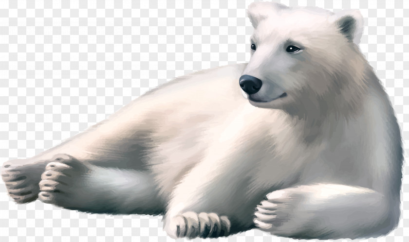 Polar Bear Brown Arctic PNG