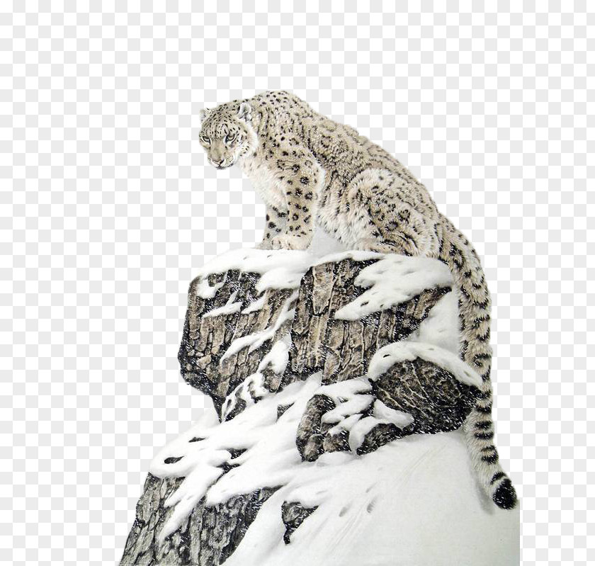 Alpine Snowflakes On The Snow Leopard Paintings Tiger Lion Felidae PNG