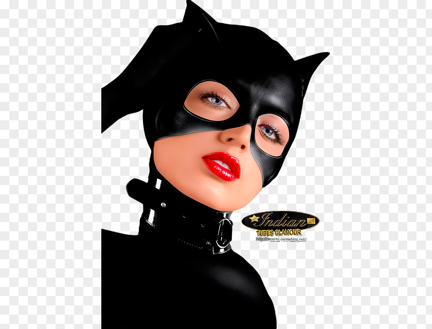 Catwoman Batgirl Harley Quinn Batman Mask PNG