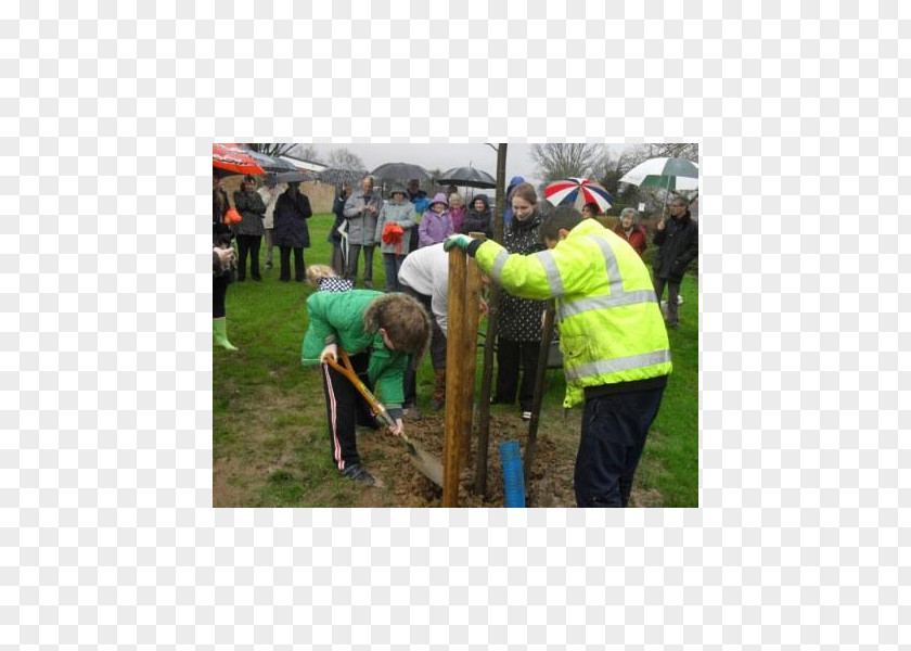 Tree Soil Plantation Vehicle Google Play PNG