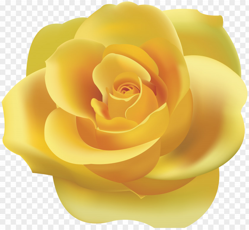 Yellow Rose Clip Art PNG