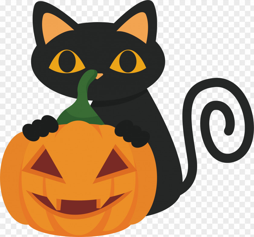 Black Cat Playing Pumpkin The Whiskers Clip Art PNG