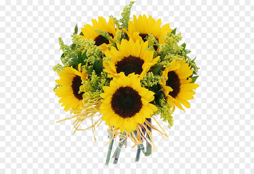 Flower Common Sunflower Floristry Cut Flowers Daisy Family PNG