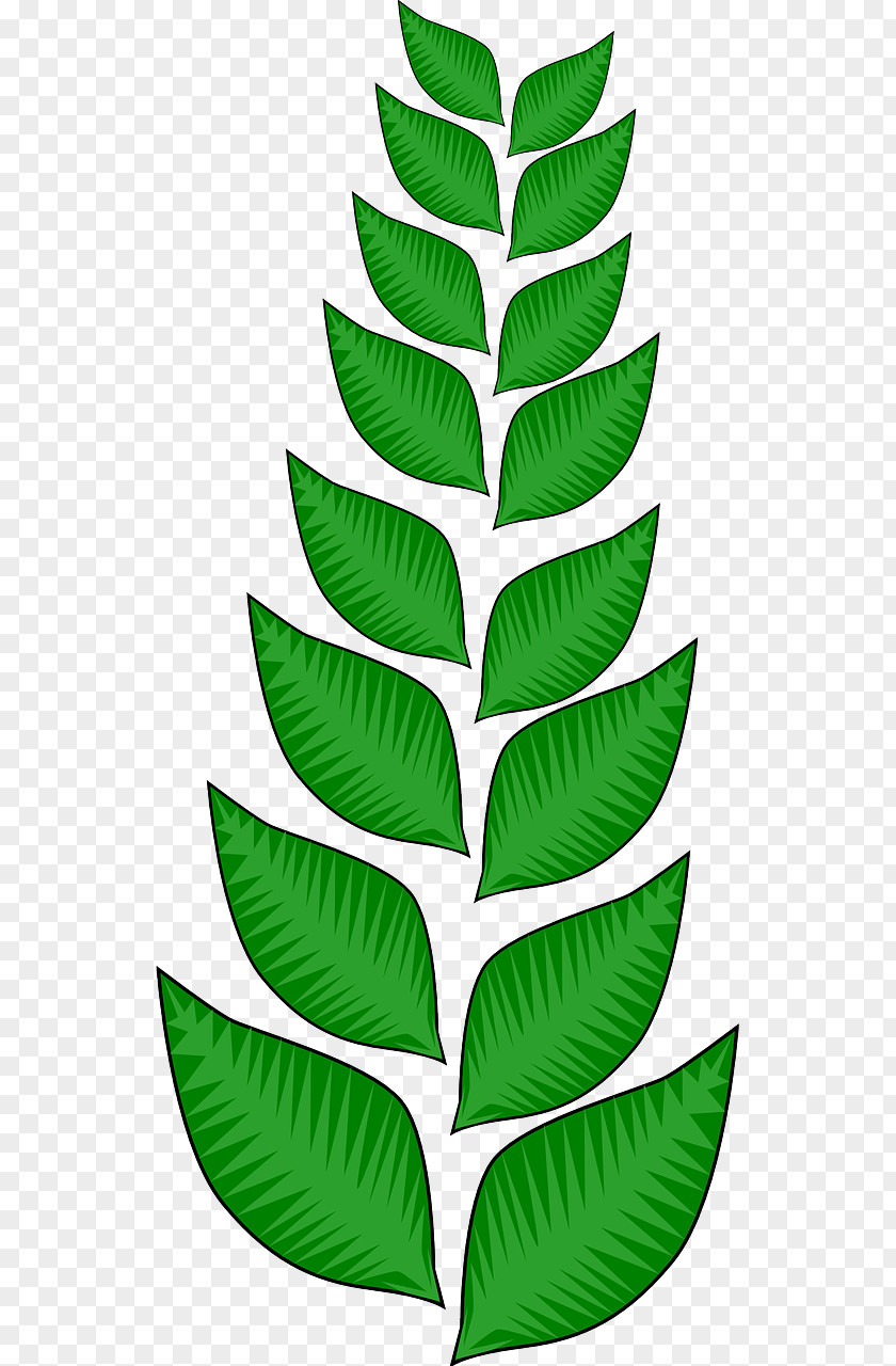 Leaf Vine Clip Art PNG