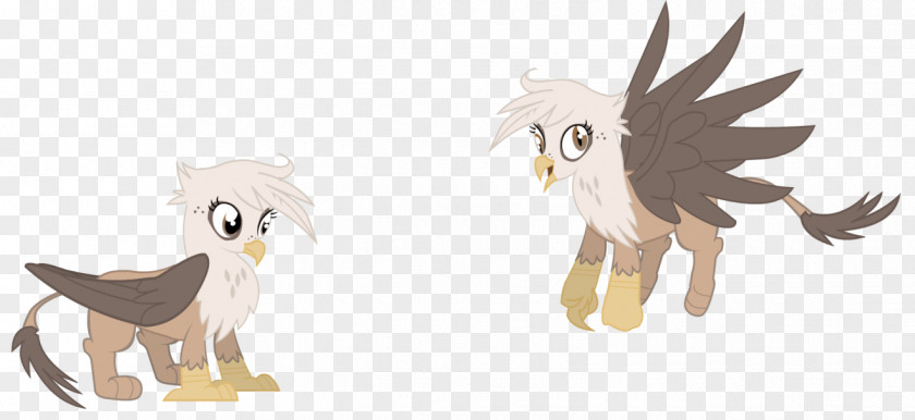 Owl Bird Chicken Horse Feather PNG