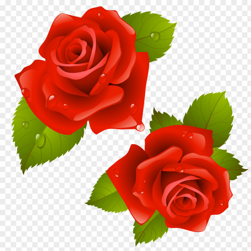 Pretty Flower Beach Rose Image Design PNG