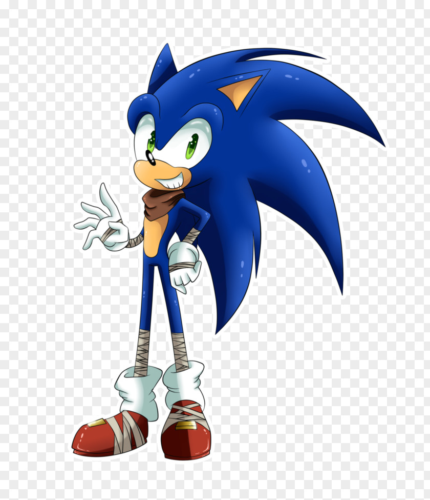 Sonic The Hedgehog Boom Ariciul Amy Rose Shadow PNG