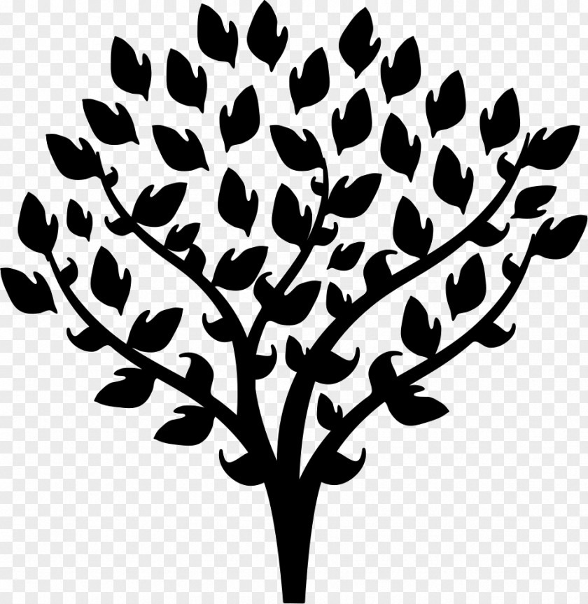 Tree Vector Graphics Branch PNG