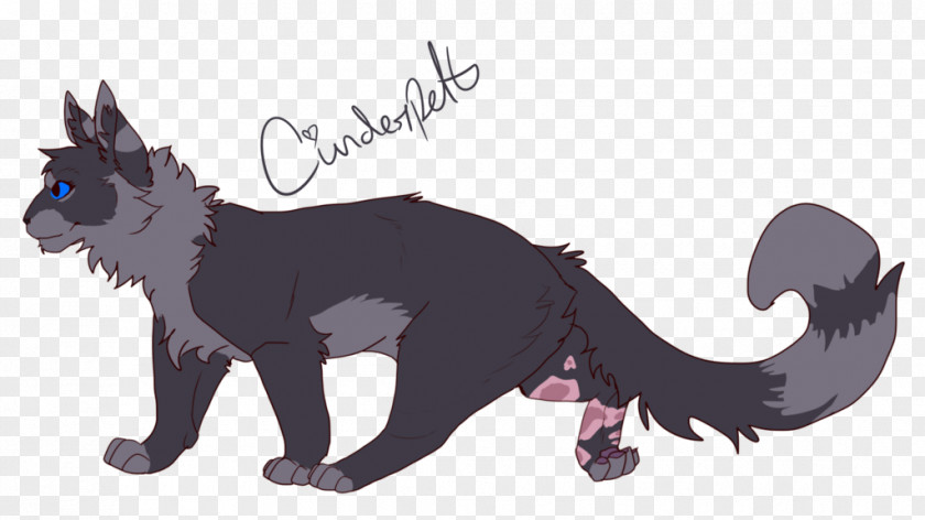 Cat Into The Wild Black Forest Of Secrets Cinderpelt PNG