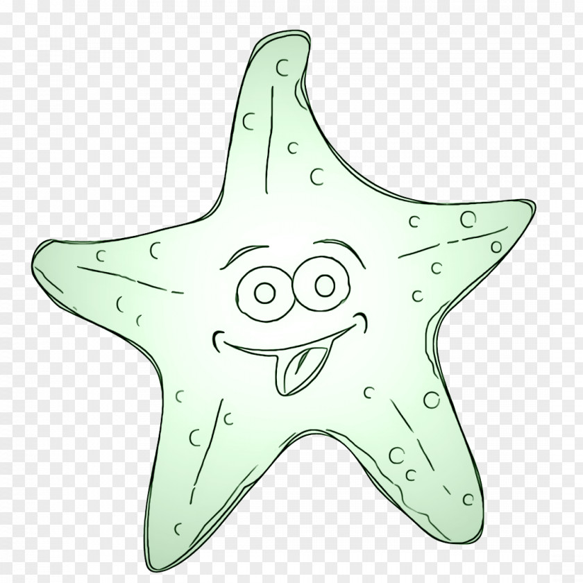 Marine Invertebrates Star Starfish PNG
