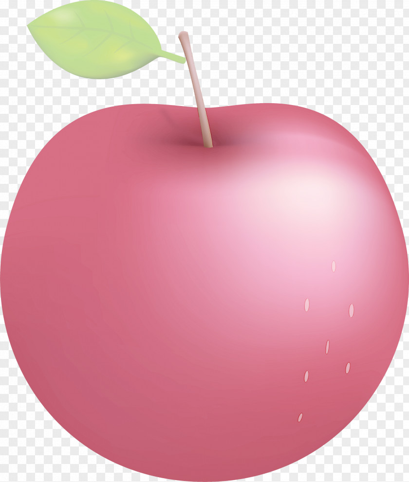 Fruit Apple PNG