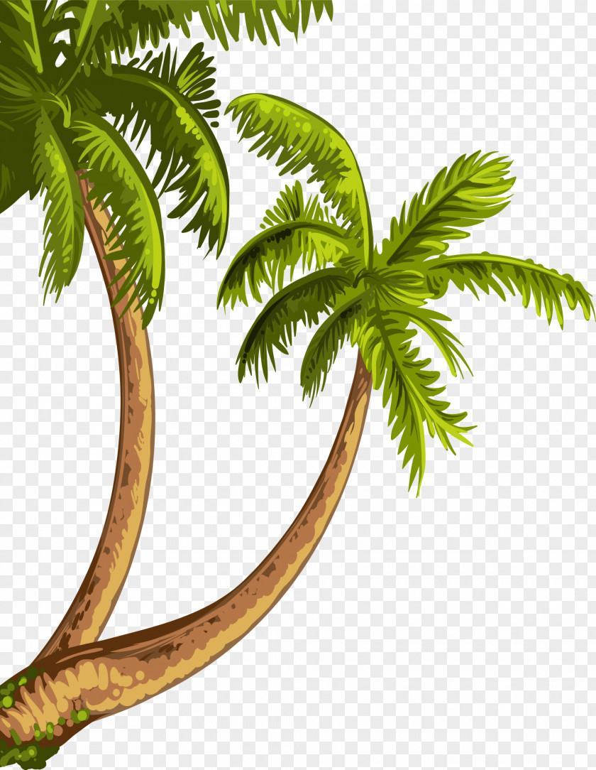 Green Coconut Cartoon Drawing Beach Theatrical Scenery Royalty-free PNG
