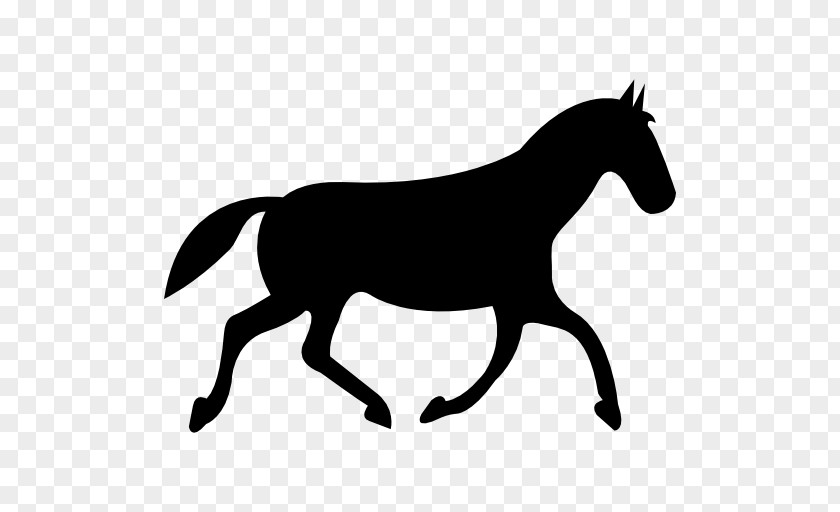 Horse How To Draw A Drawing Equestrian PNG