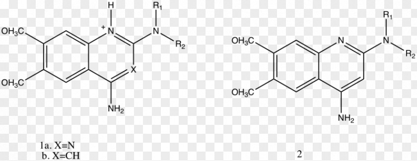 Horseradish Peroxidase Chemistry Fluorine Chloride Electrophile PNG