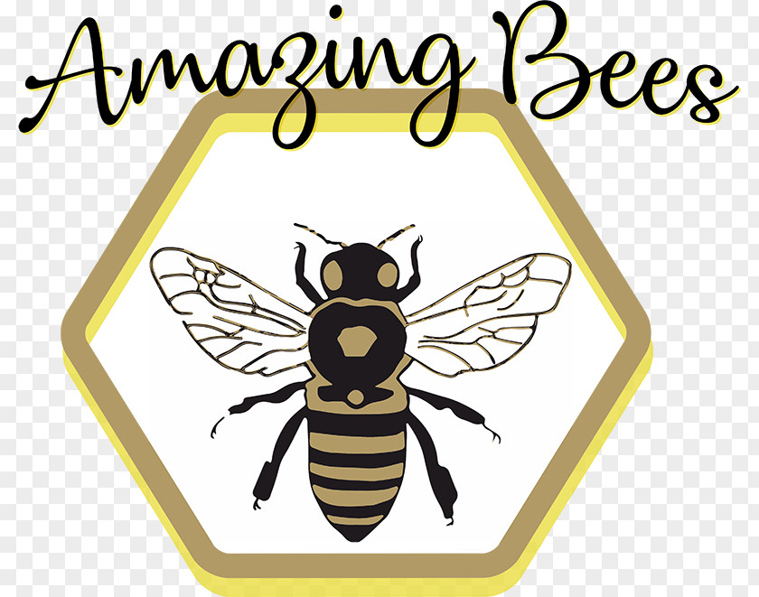 Bee Honey Brand Clip Art PNG