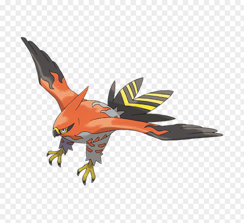 Noibat Pokémon X And Y Talonflame Universe Fletchinder PNG