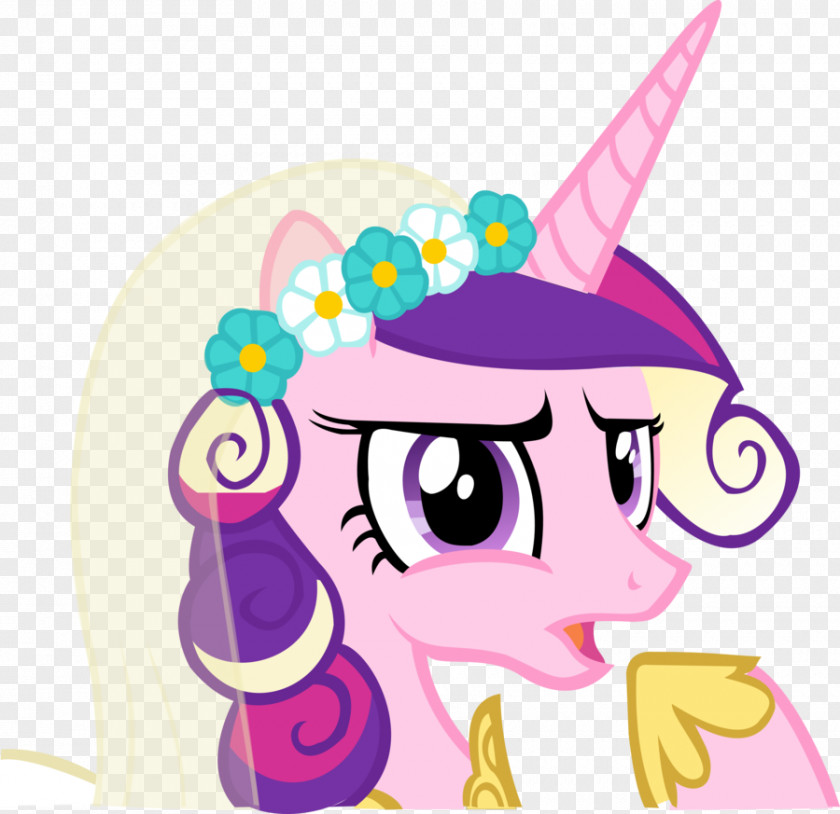 Part 2 The Ticket Master Friendship Is MagicPart 2Confused Student Princess Cadance Rarity A Canterlot Wedding PNG