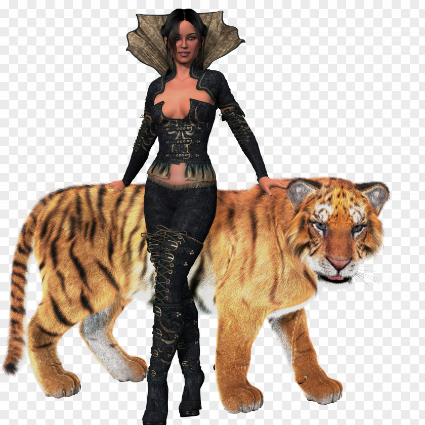 Tiger Kaplan Tigger Woman Lion PNG