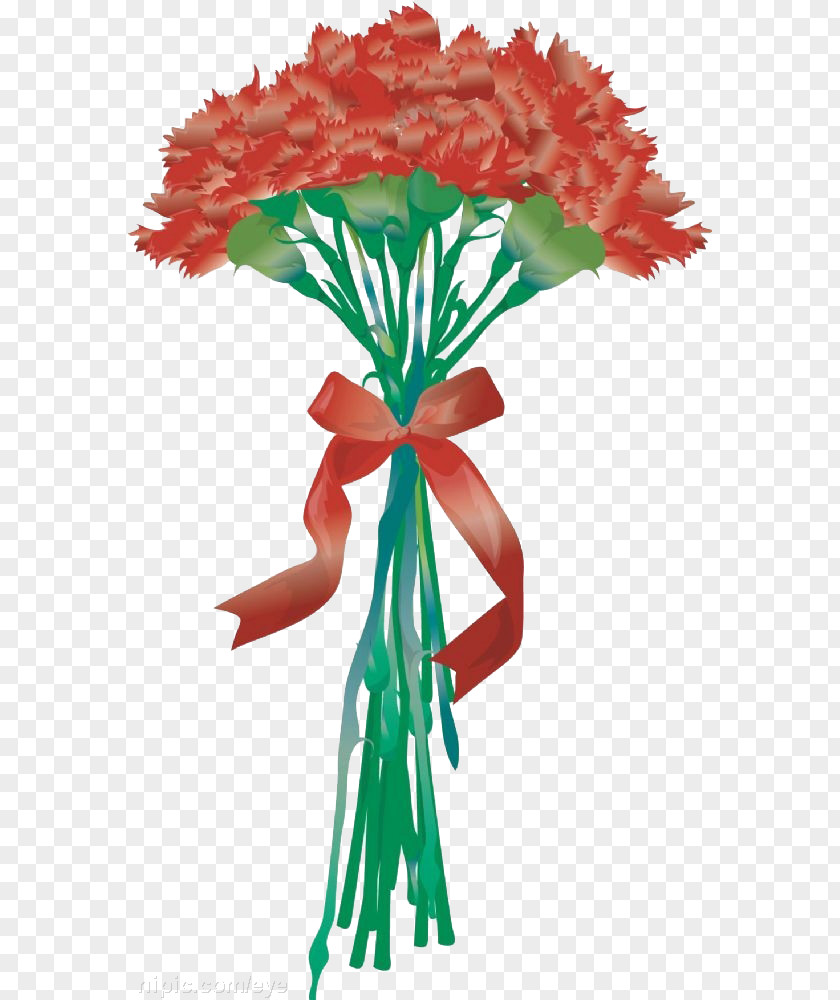 A Beautiful Bouquet Of Carnations Floral Design Cartoon Carnation PNG