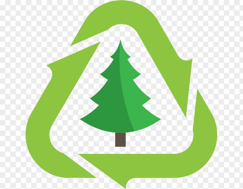 Christmas Tree Recycling Little Elm PNG