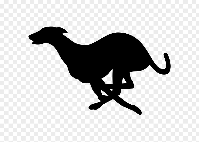 Dog Whippet Sighthound Italian Greyhound Silhouette PNG
