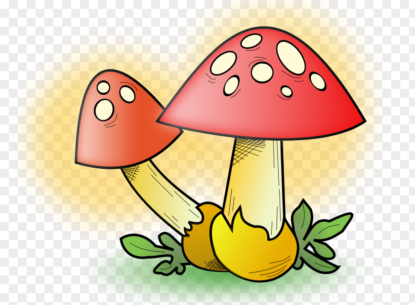 Producer Vector Edible Mushroom Clip Art PNG
