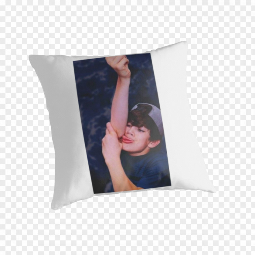 Throw Pillows Cushion PNG