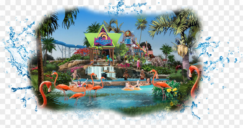 Changde Water Park SeaWorld San Diego Antonio Orlando PNG