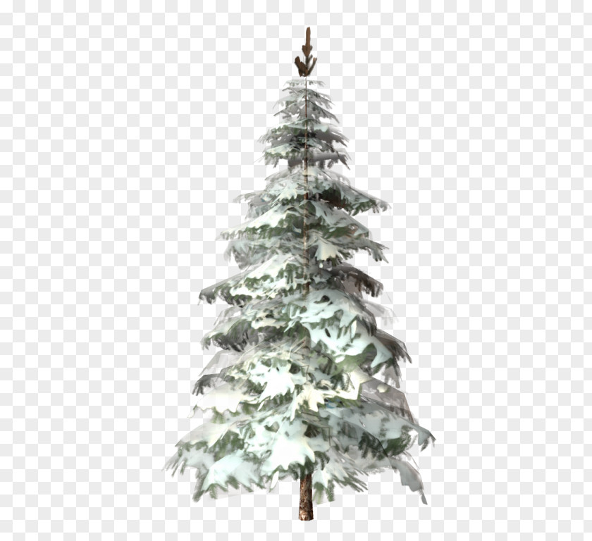Christmas Tree Fir Spruce Day Pine PNG