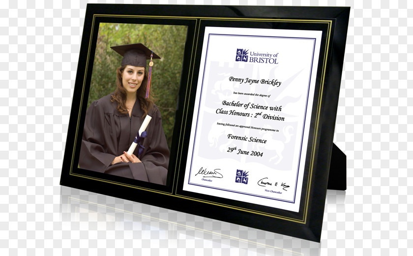 GRADUATION BORDER Picture Frames Diploma Graduation Ceremony Academic Certificate PNG