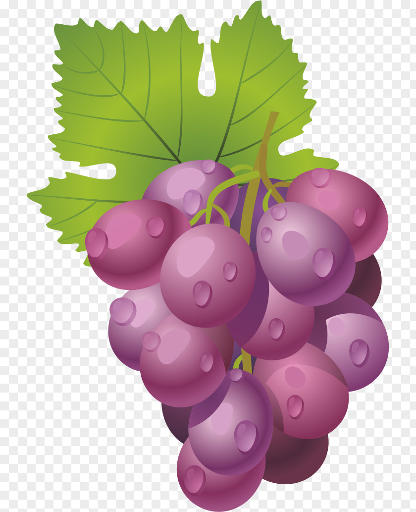 Grape,fruit Grape Wine Fruit PNG