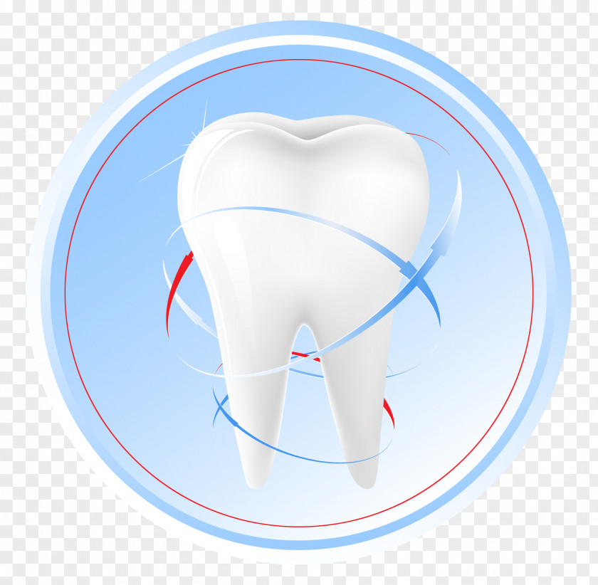 Teeth Dentistry Dental Extraction Human Tooth Clip Art PNG