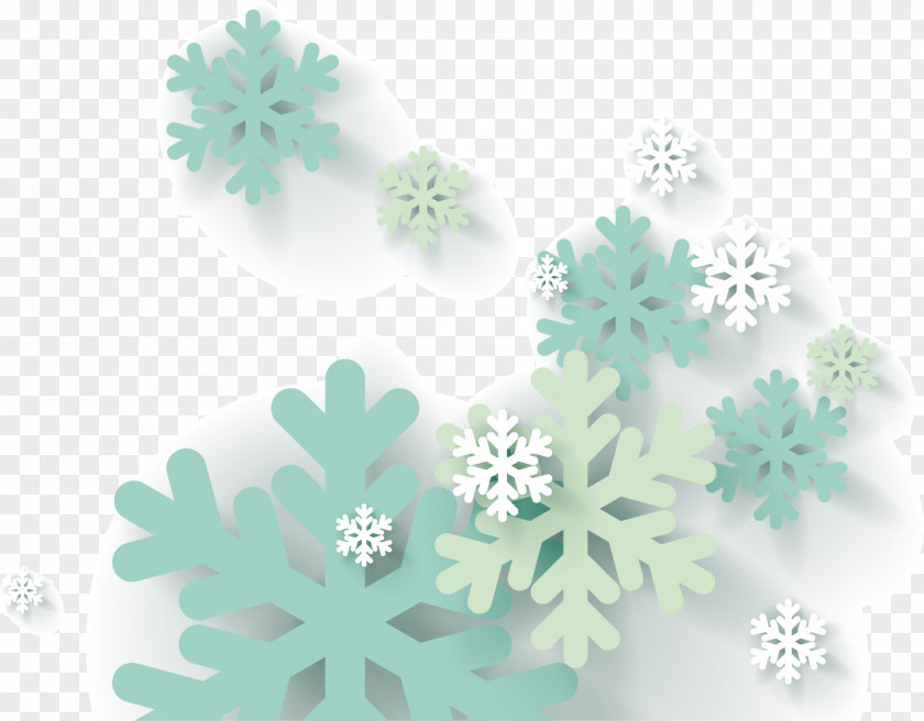 Vector Snow Snowflake Euclidean Computer File PNG