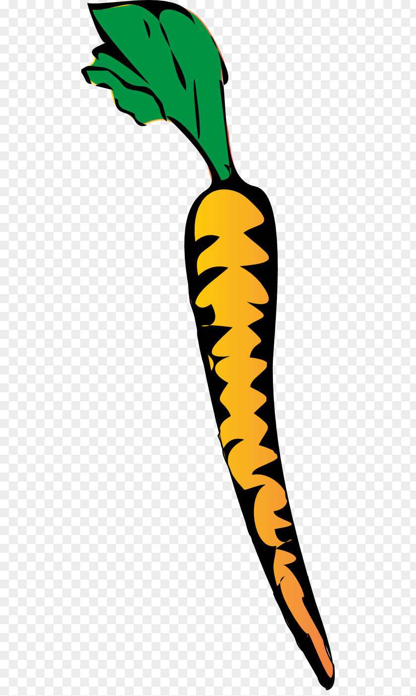 Carrot Image Free Content Clip Art PNG