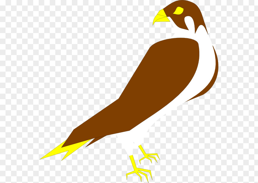Falcon Peregrine Clip Art PNG