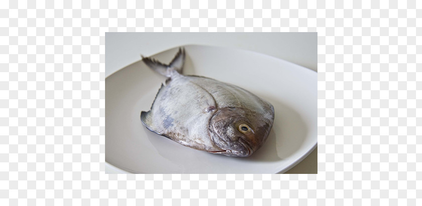 Fish Fried Black Pomfret Food PNG