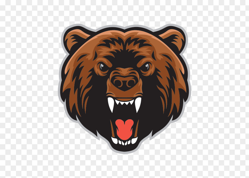 Bear Grizzly Clip Art Vector Graphics Polar PNG